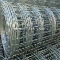 Fixed Knot Galvanisiertes Kraal Netzwerk